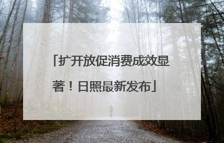 扩开放促消费成效显著！日照最新发布