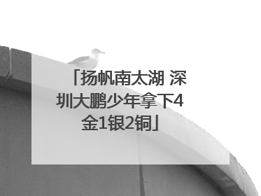 扬帆南太湖 深圳大鹏少年拿下4金1银2铜
