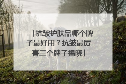 抗皱护肤品哪个牌子最好用？抗皱最厉害三个牌子揭晓