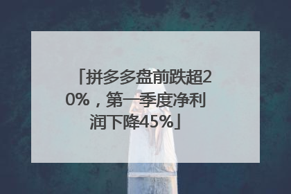 拼多多盘前跌超20%，第一季度净利润下降45%