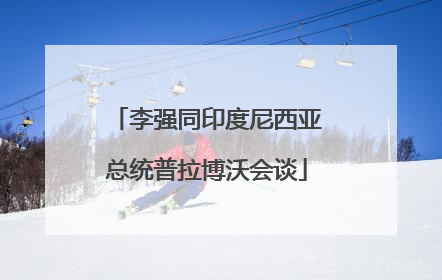 李强同印度尼西亚总统普拉博沃会谈