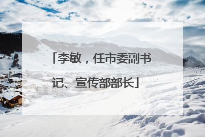 李敏，任市委副书记、宣传部部长