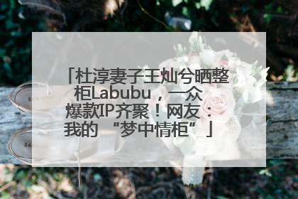 杜淳妻子王灿兮晒整柜Labubu，一众爆款IP齐聚！网友：我的 “梦中情柜”
