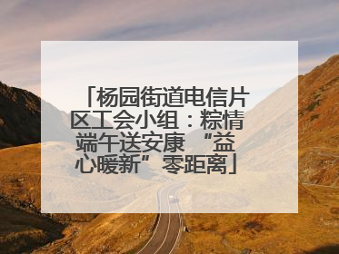杨园街道电信片区工会小组：粽情端午送安康 “益心暖新”零距离
