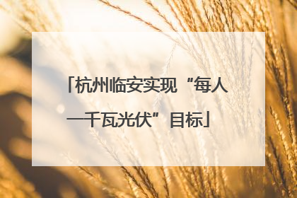 杭州临安实现“每人一千瓦光伏”目标