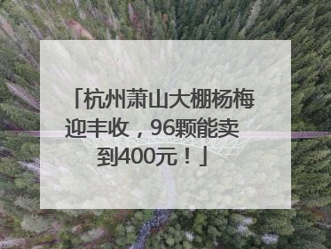 杭州萧山大棚杨梅迎丰收，96颗能卖到400元！