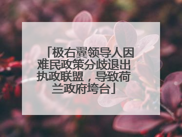 极右翼领导人因难民政策分歧退出执政联盟，导致荷兰政府垮台