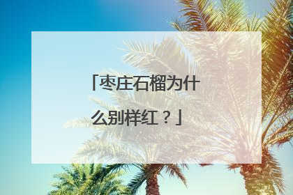 枣庄石榴为什么别样红？