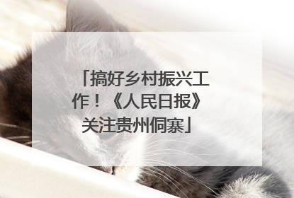 搞好乡村振兴工作！《人民日报》关注贵州侗寨