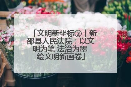 文明新坐标②丨新邵县人民法院：以文明为笔 法治为墨 绘文明新画卷