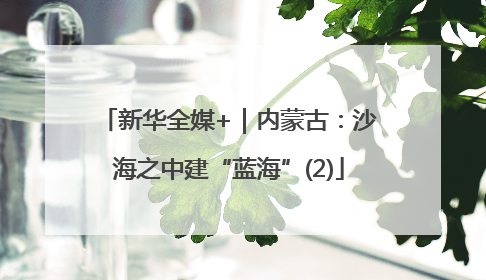 新华全媒+｜内蒙古：沙海之中建“蓝海”(2)