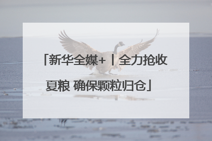 新华全媒+丨全力抢收夏粮 确保颗粒归仓