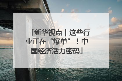 新华视点｜这些行业正在“爆单”！中国经济活力密码