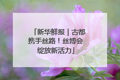 新华鲜报｜古都携手丝路！丝博会绽放新活力