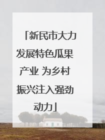 新民市大力发展特色瓜果产业 为乡村振兴注入强劲动力