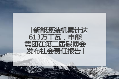 新能源装机累计达613万千瓦，申能集团在第三届碳博会发布社会责任报告