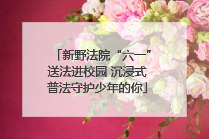 新野法院“六一”送法进校园 沉浸式普法守护少年的你
