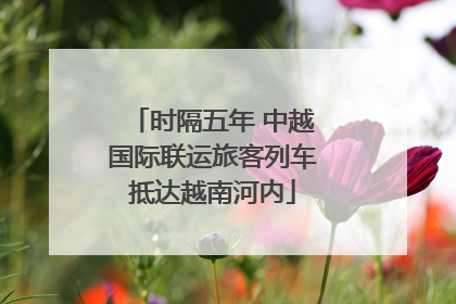 时隔五年 中越国际联运旅客列车抵达越南河内