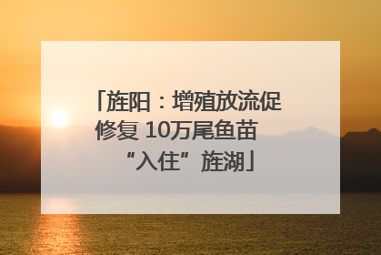 旌阳：增殖放流促修复 10万尾鱼苗“入住”旌湖