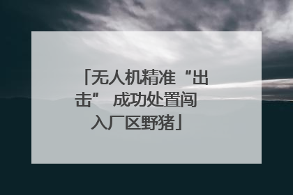 无人机精准“出击” 成功处置闯入厂区野猪