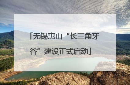 无锡惠山“长三角牙谷”建设正式启动