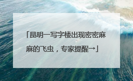昆明一写字楼出现密密麻麻的飞虫，专家提醒→