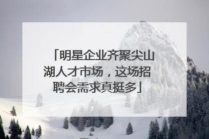 明星企业齐聚尖山湖人才市场，这场招聘会需求真挺多