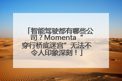 智能驾驶都有哪些公司？Momenta“穿行桥底迷宫”无法不令人印象深刻！