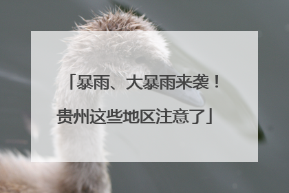暴雨、大暴雨来袭！贵州这些地区注意了