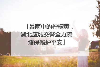 暴雨中的柠檬黄，湖北应城交警全力疏堵保畅护平安