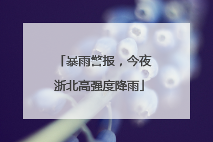暴雨警报，今夜浙北高强度降雨