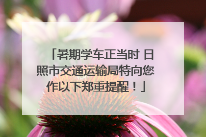 暑期学车正当时 日照市交通运输局特向您作以下郑重提醒！