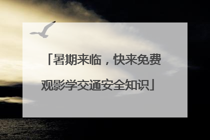 暑期来临，快来免费观影学交通安全知识