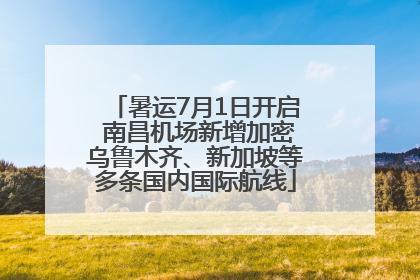 暑运7月1日开启 南昌机场新增加密乌鲁木齐、新加坡等多条国内国际航线