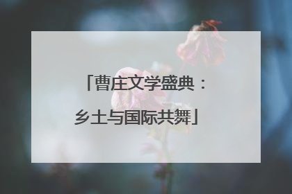 曹庄文学盛典：乡土与国际共舞