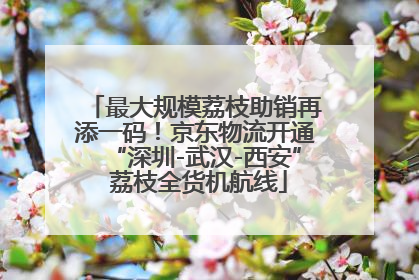 最大规模荔枝助销再添一码！京东物流开通“深圳-武汉-西安” 荔枝全货机航线
