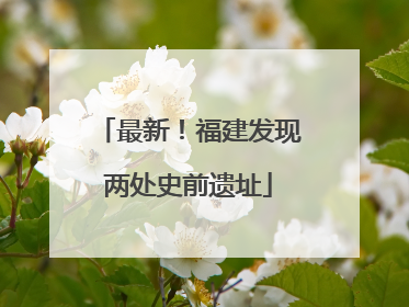 最新！福建发现两处史前遗址