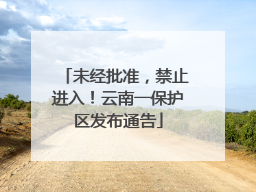 未经批准，禁止进入！云南一保护区发布通告