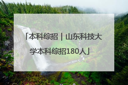 本科综招｜山东科技大学本科综招180人