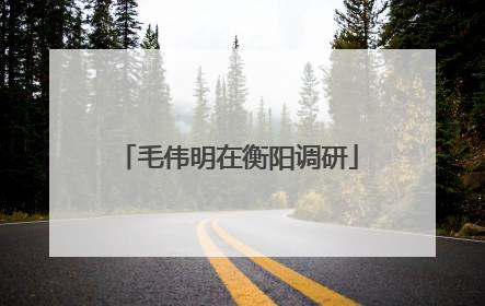 毛伟明在衡阳调研