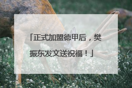 正式加盟德甲后，樊振东发文送祝福！