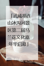 武威祁连山冰沟河景区第二届马兰花文化嘉年华启幕