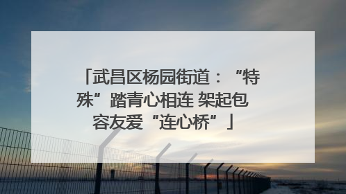 武昌区杨园街道：“特殊”踏青心相连 架起包容友爱“连心桥”
