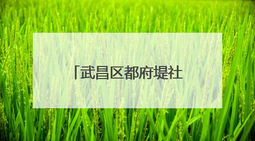 武昌区都府堤社区举办“红巷传薪火”主题活动 探索党建引领基层治理新路径