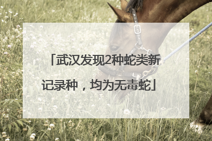 武汉发现2种蛇类新记录种，均为无毒蛇