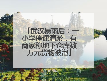 武汉暴雨后：一小学停课清淤，有商家称地下仓库数万元货物被泡