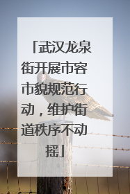 武汉龙泉街开展市容市貌规范行动，维护街道秩序不动摇