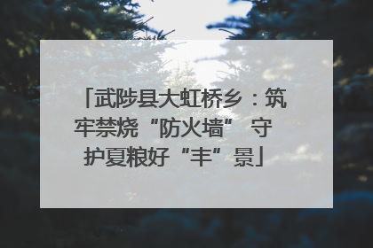 武陟县大虹桥乡：筑牢禁烧“防火墙” 守护夏粮好“丰”景