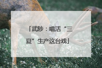 武陟：唱活“三夏”生产这台戏