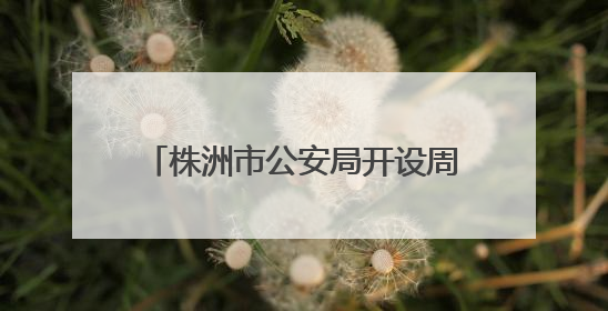 株洲市公安局开设周六学生专场办证服务
